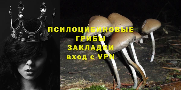 экстази Алексеевка