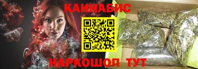 мдпв Гатчина