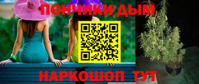мдпв Гатчина