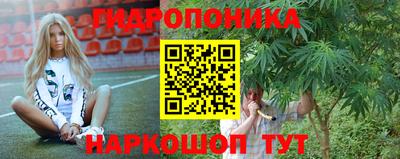 мдпв Гатчина
