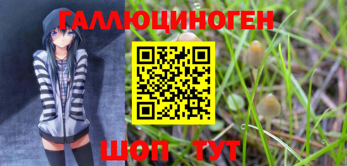 Галлюциногенные грибы Psilocybe  Вход с VPN  Галлюциногенные грибы GOLDEN TEACHER  Муравленко 