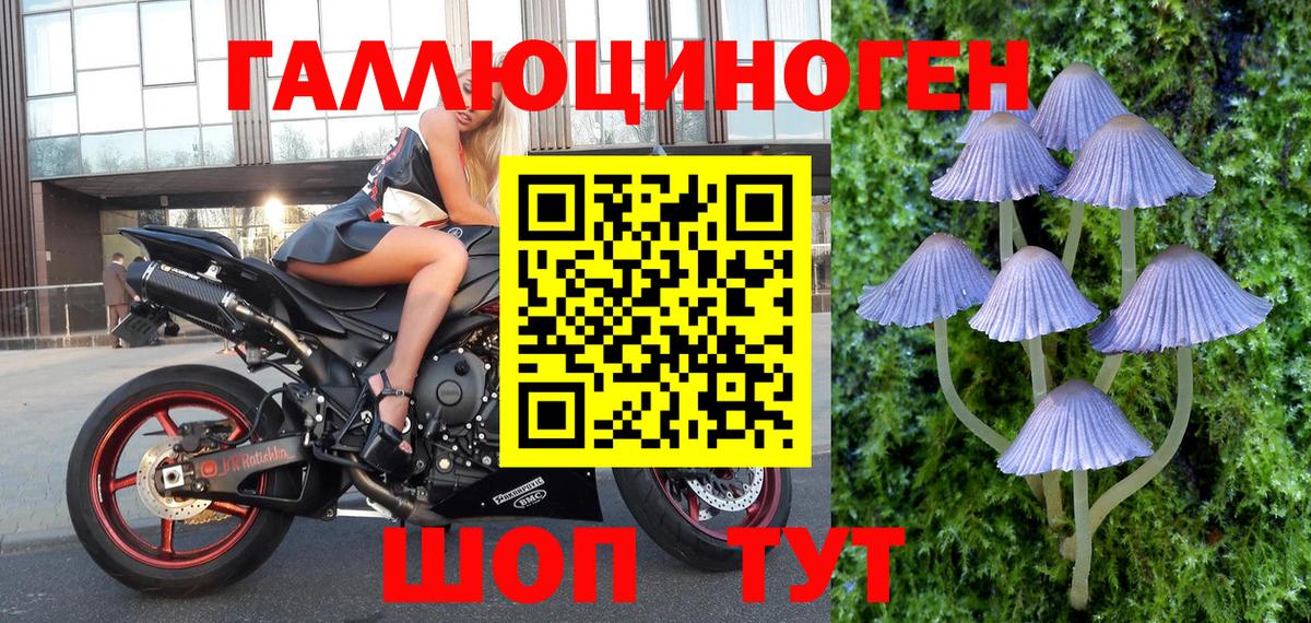 Псилоцибиновые грибы мухоморы Муравленко